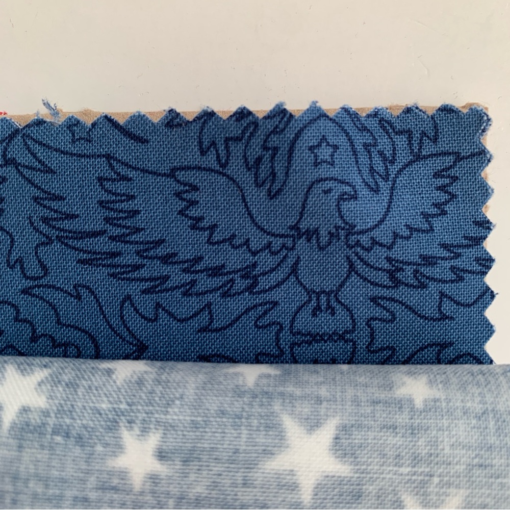 RILEY BLAKE DESIGNS Lost & Found America 5” Square Stacker Charm Pack Fabric NWT - Picture 11 of 14